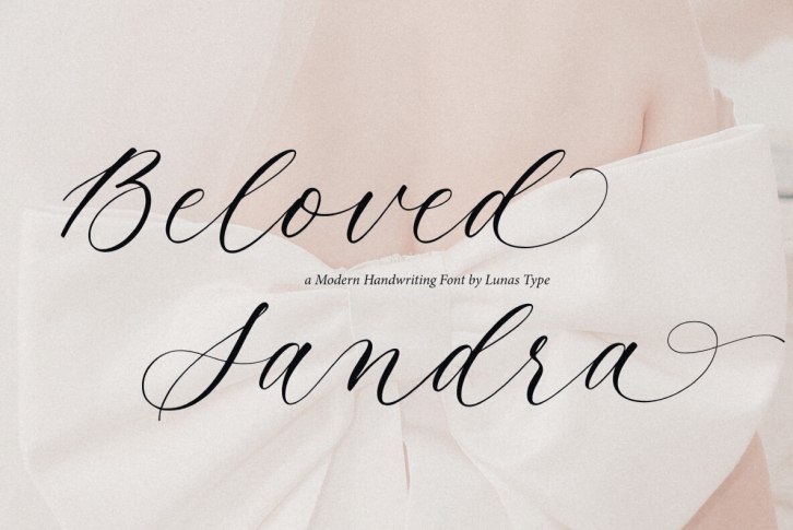Beloved Sandra Font Font Download