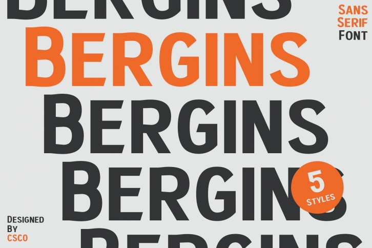 Bergins Font Font Download