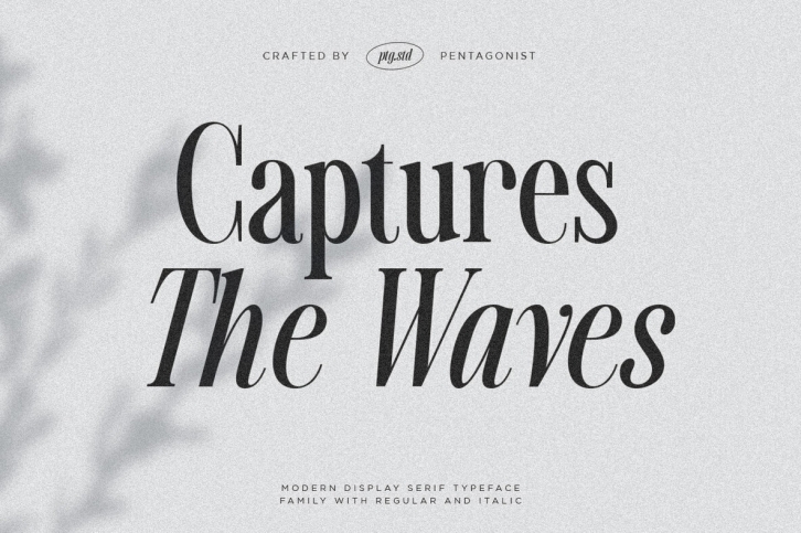 Captures The Waves Font Font Download