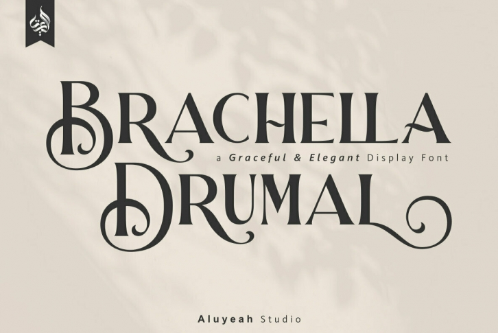 Brachella Drumal Font Font Download