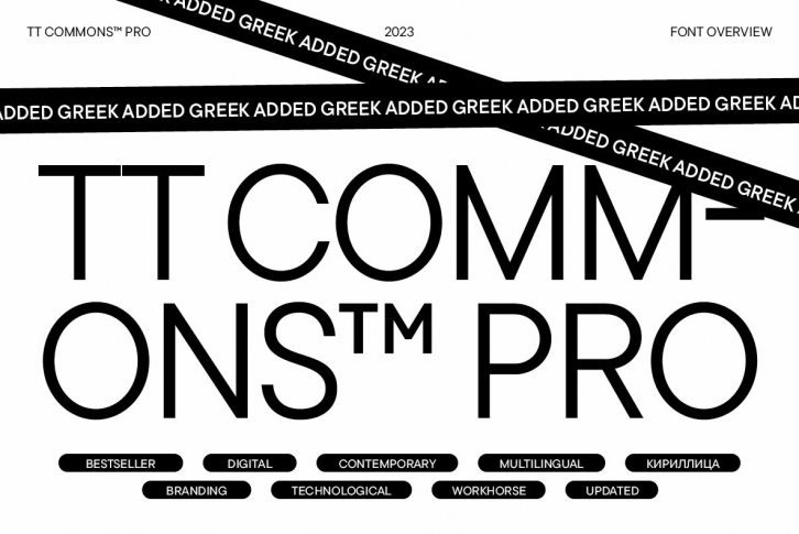 TT Commons Pro Font Font Download