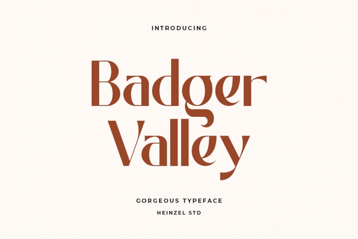 Badger Valley Font Font Download