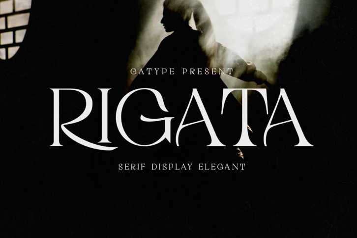 Rigata Font Font Download