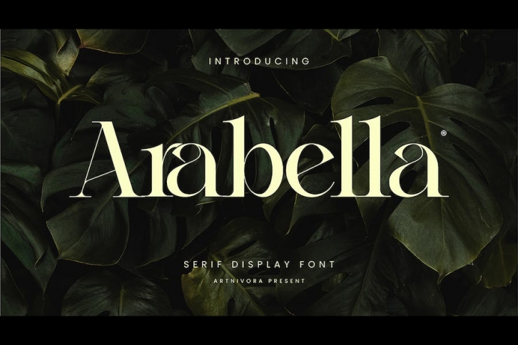 Arabella - Serif Display Font Font Download