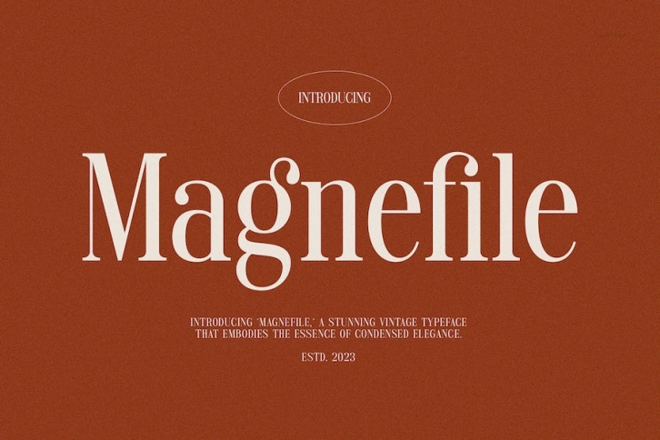 Magnefile - Classy & Stylish Serif Font Download