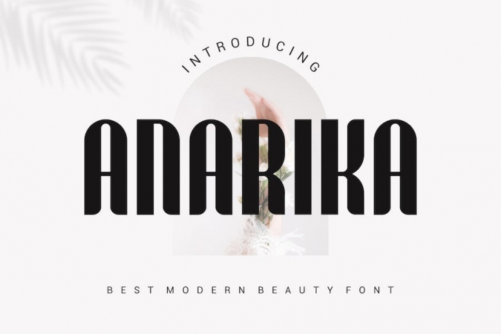 Anarika Font Font Download