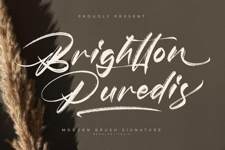 Brightton Puredis Modern Brush Signature Font Font Download