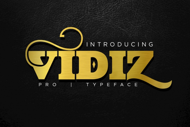 Vidiz Pro Font Font Download