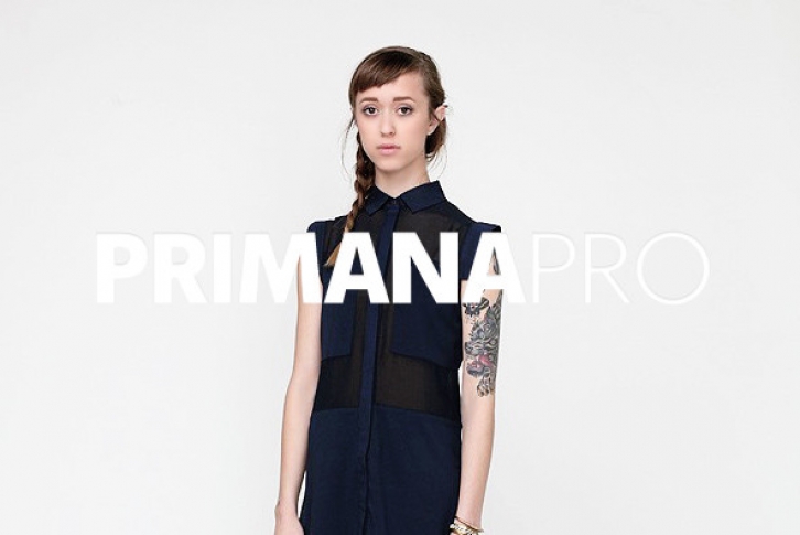 Primana Pro Font Font Download