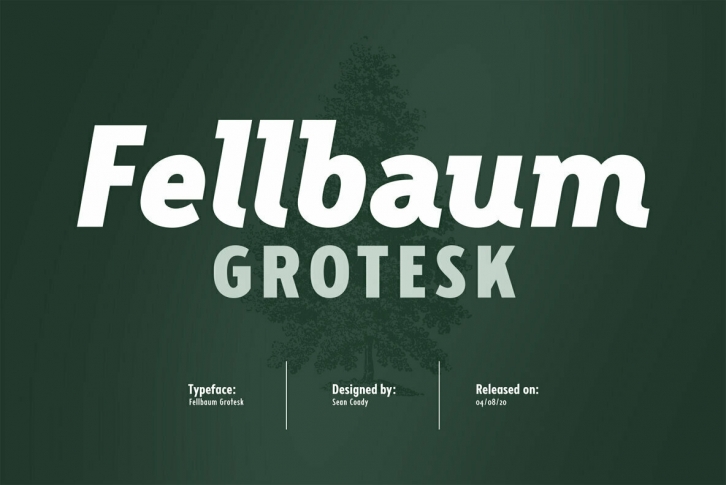 Fellbaum Grotesk Font Font Download