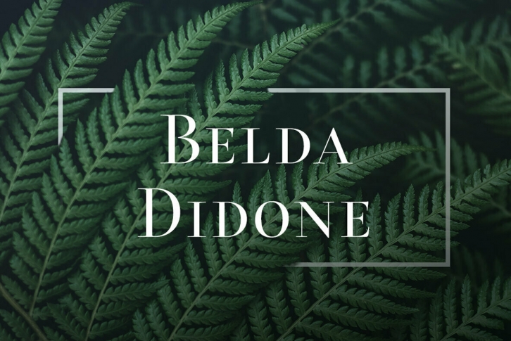 Belda Didone Font Font Download