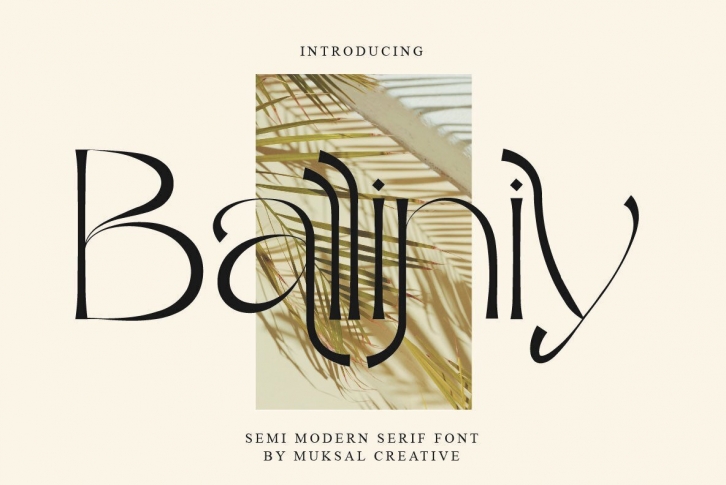 Balliniy Font Font Download