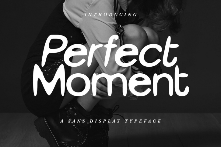 Perfect Moment Font Font Download
