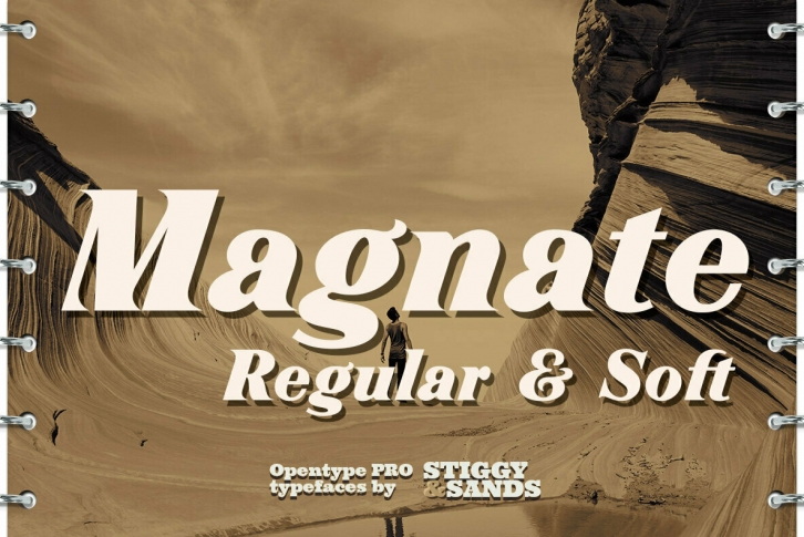 Magnate Font Font Download