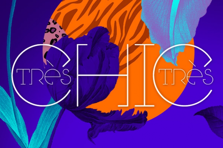 Tres Tres Chic Font Font Download