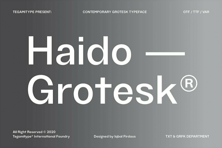 TG Haido Grotesk Font Font Download