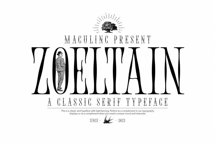 Zoeltain Font Font Download