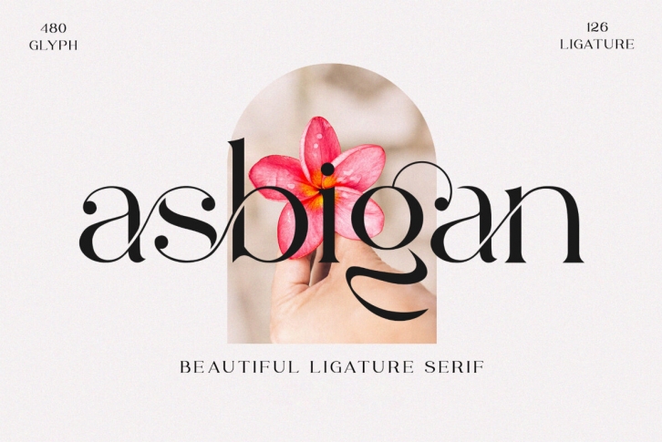 Asbigan Font Font Download