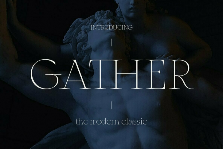 Gather Serif Font Font Download