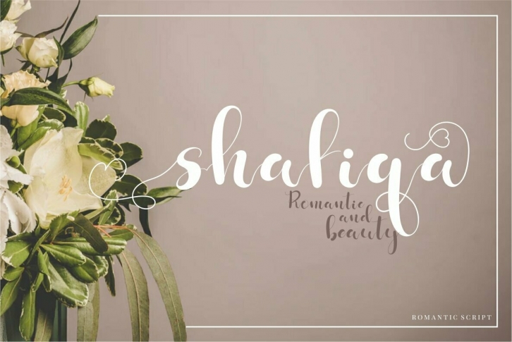 Shafiqa Font Font Download