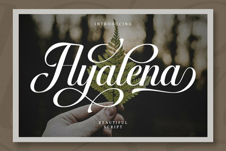 Ayalena Font Font Download