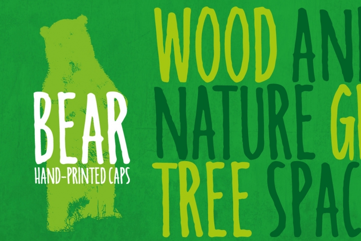 Bear Font Font Download