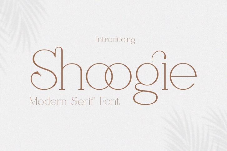 Shoogie Font Font Download