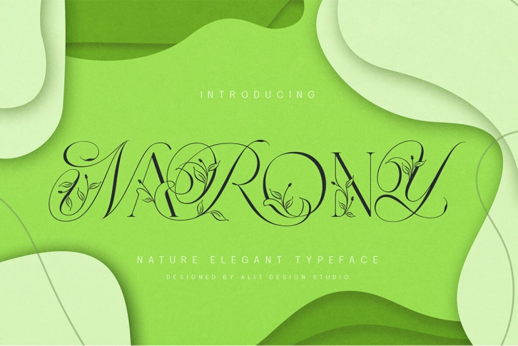 Narony Natural Font Font Download