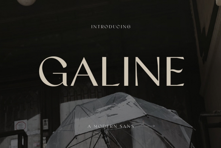 Galine Font Font Download