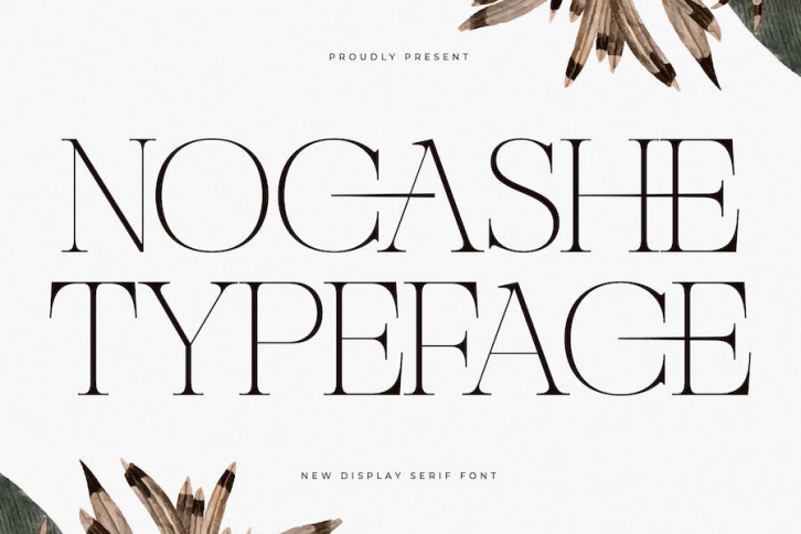 Nocashe New Display Font Serif Font Download