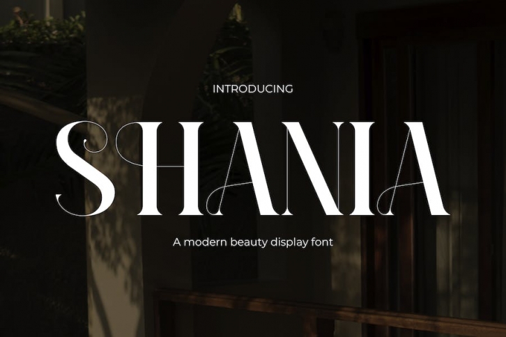 Shania - Elegance Modern Font Font Download