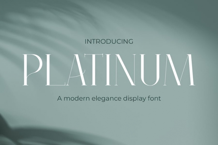 Platinum - Elegant Serif Modern Font Font Download