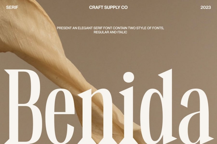Benida â€“ Elegant Serif Font Download