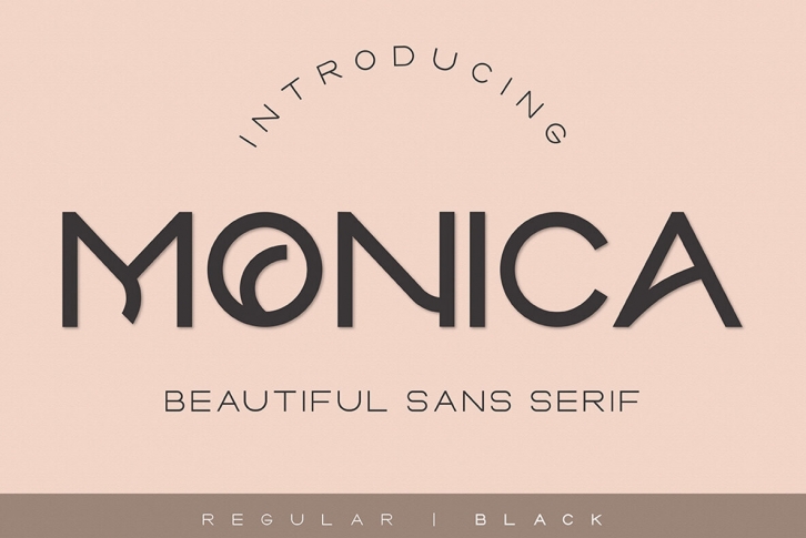 Monica Font Font Download