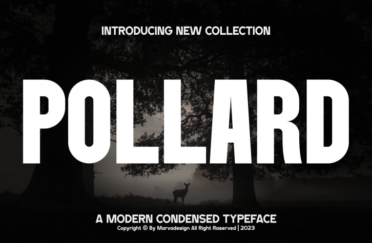 Pollard Font Font Download