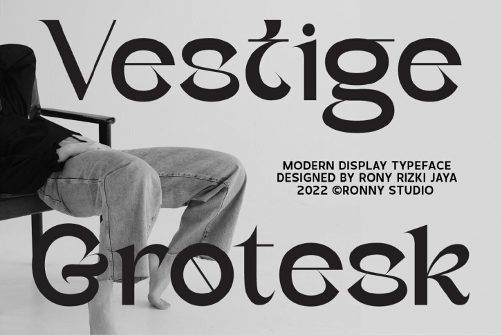 Vestige Grotesk Font Font Download