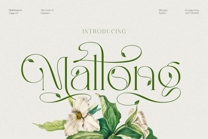 Mallong Font Font Download