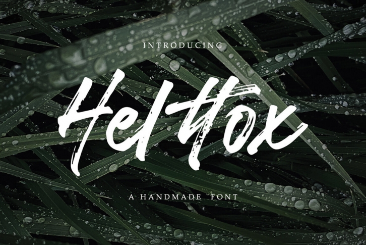 Helttox Font Font Download