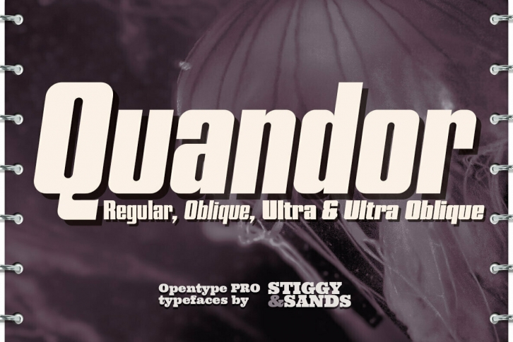 Quandor Font Font Download