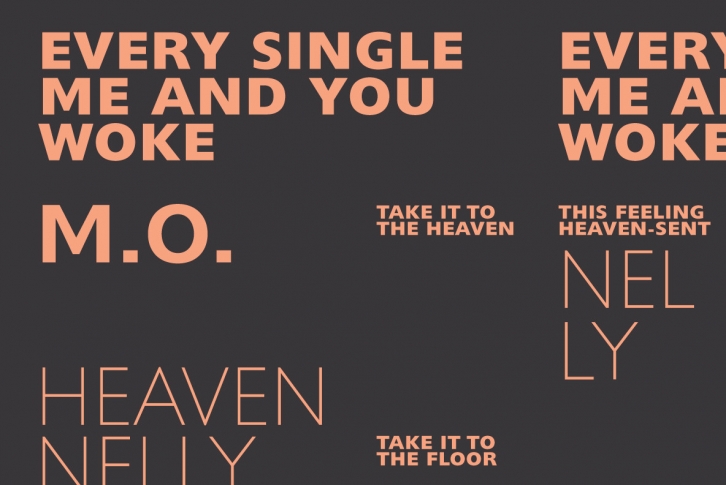 Delargo DT Pro Font Font Download