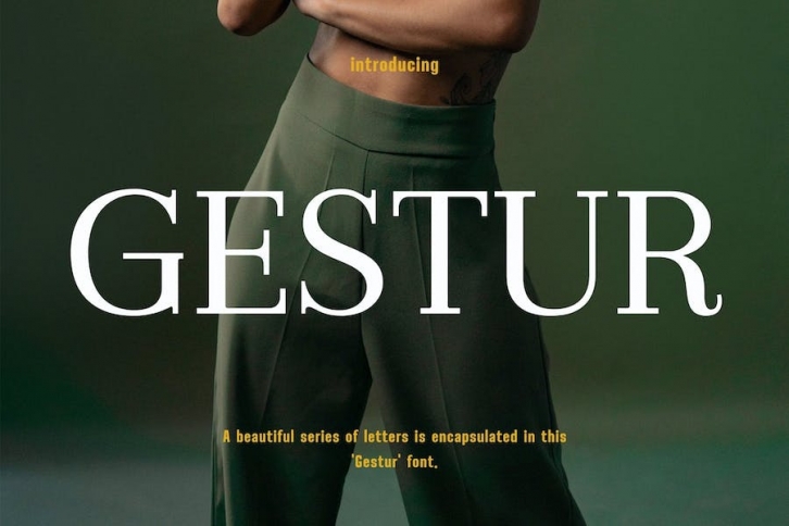 Gestur Modern Serif Display Font Font Download