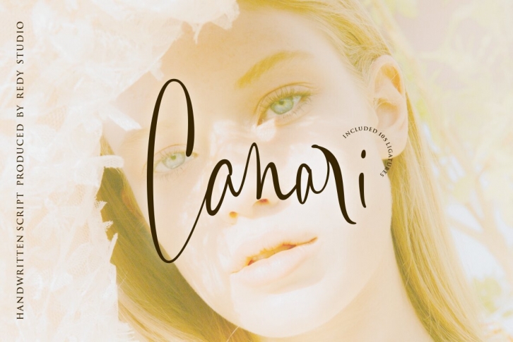 Canari Font Font Download