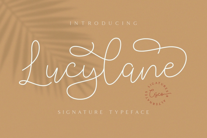Lucylane - Signature Typeface Font Font Download