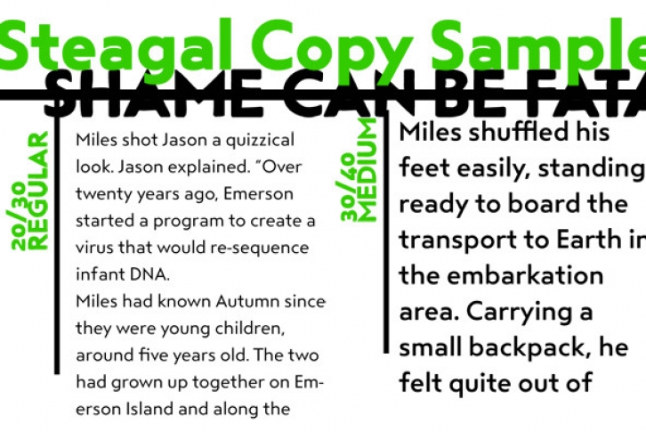 Steagal Font Font Download