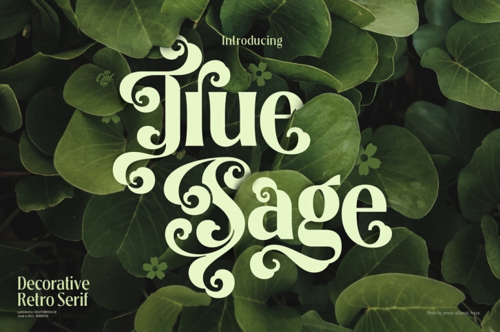 True Sage Font Font Download