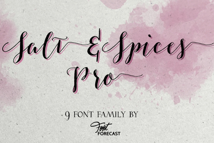 Salt  Spices Pro Font Font Download