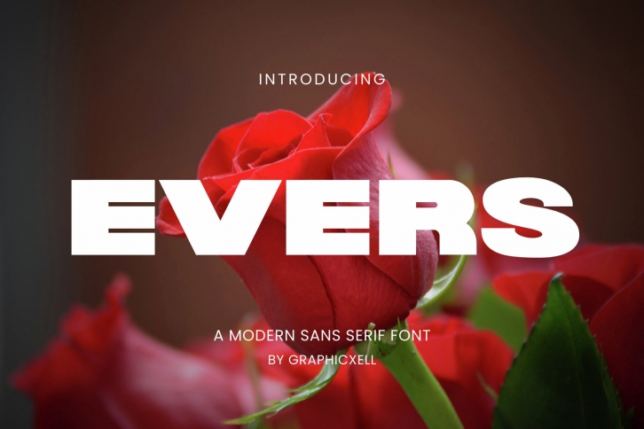 Evers Font Font Download
