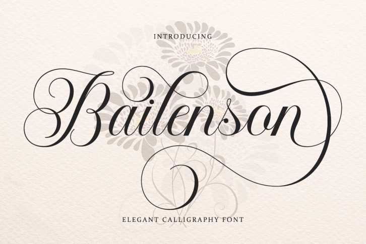 Bailenson Font Font Download