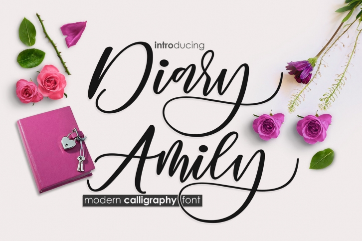 Diary Amily Font Font Download