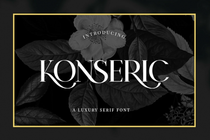 Konseric Font Font Download